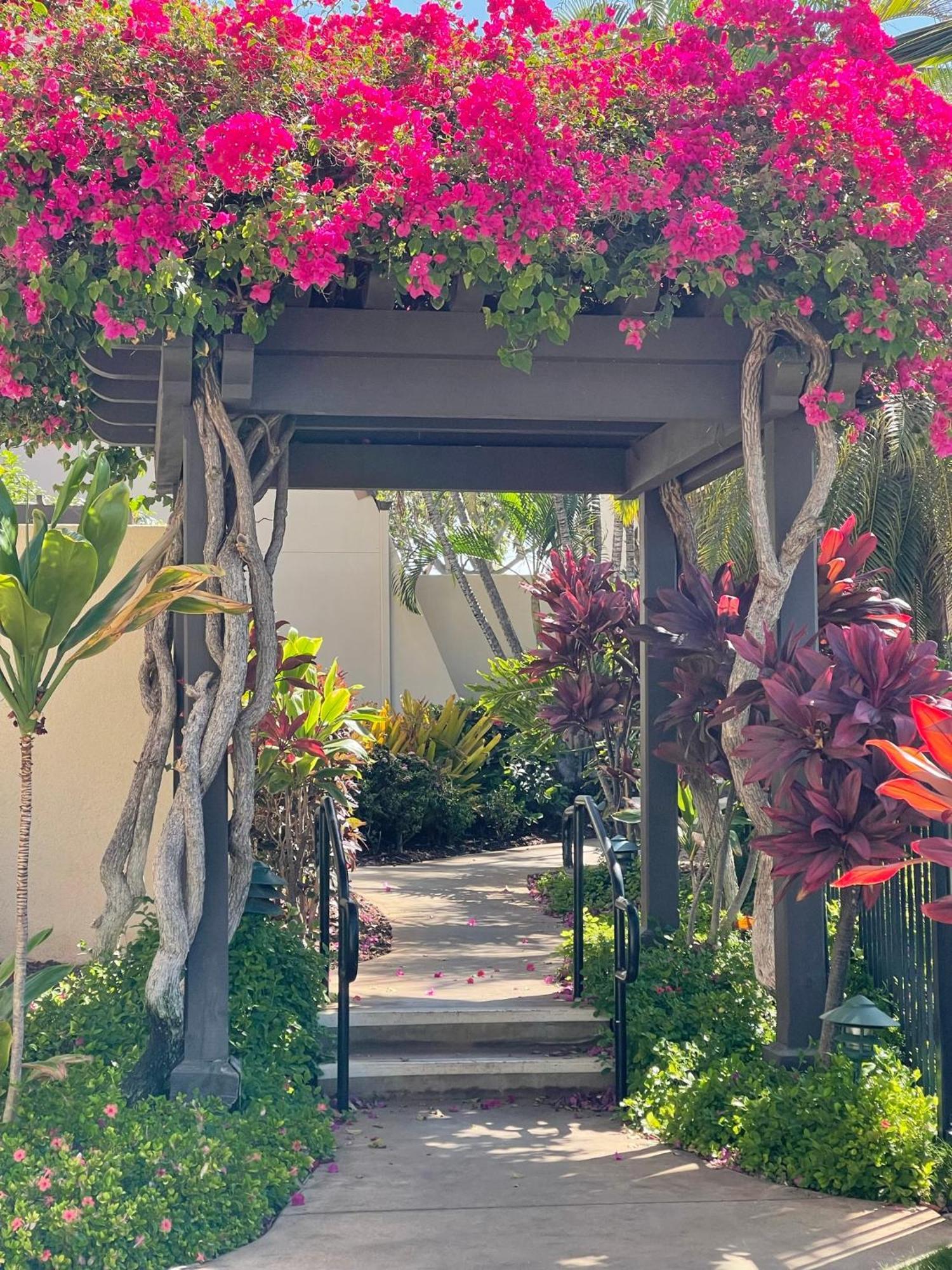 Tropical Maui Kamaole B-Bldg Apartment ไวเลอา ภายนอก รูปภาพ